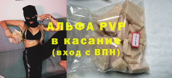 прущие грибы Нягань