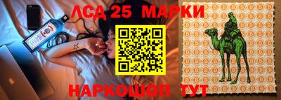 ешки Будённовск