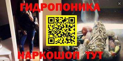 spice Гусев