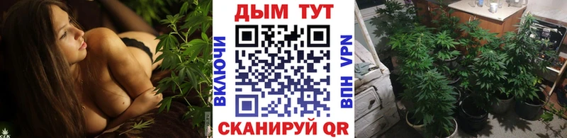 Канабис тримм  hydra зеркало  Петровск 
